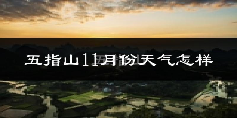 五指山11月份天气怎样?五指山十一月冷吗?