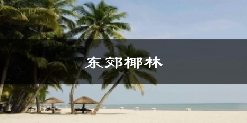 东郊椰林天气预报十五天
