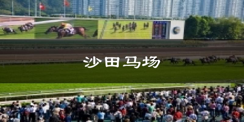 沙田马场天气预报十五天