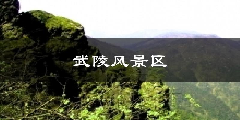 武陵风景区天气预报十五天